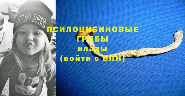 ECSTASY Майский