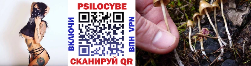 Псилоцибиновые грибы ЛСД Талдом